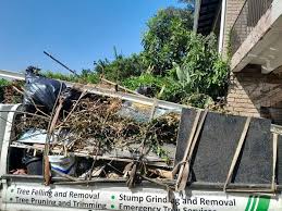 Best Recycling Services for Junk  in Snow Hill, NC